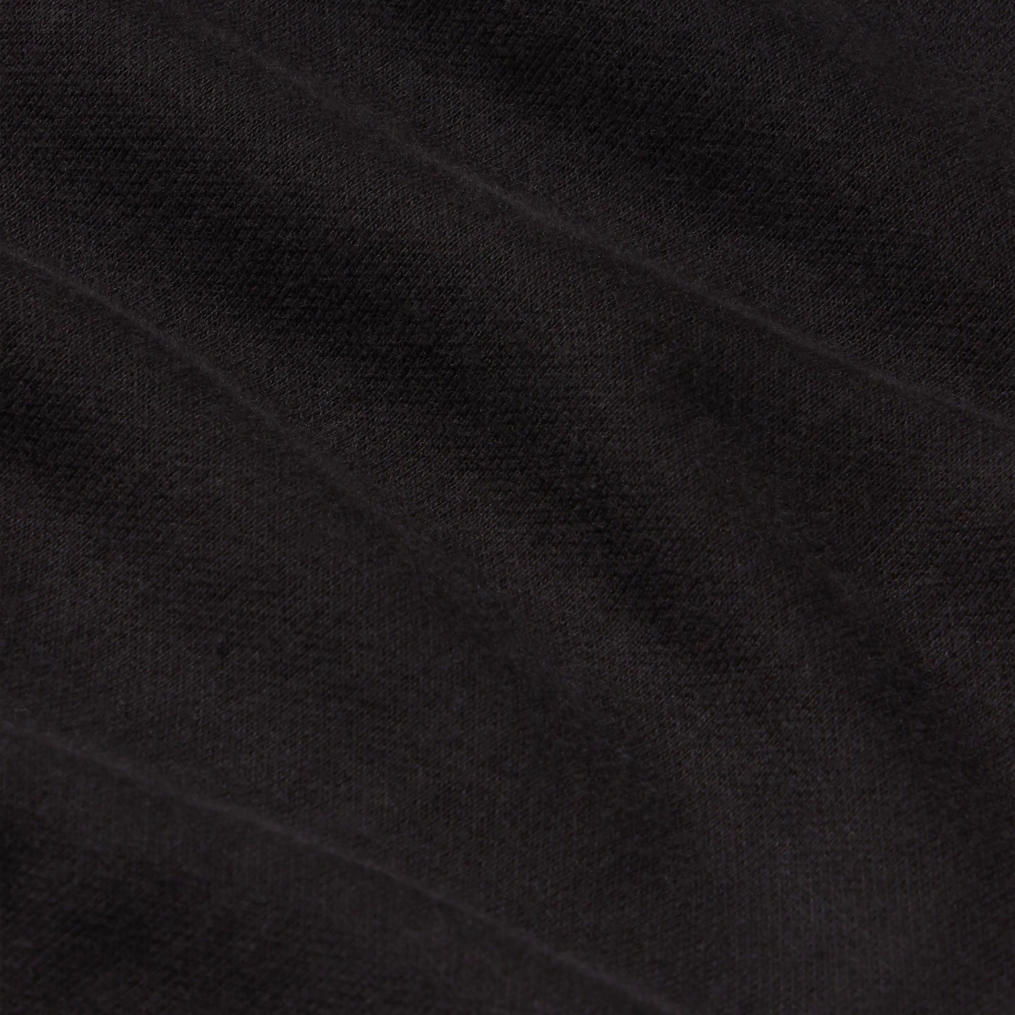 COTTON FLEECE CLASSIC HOODIE | ONYX SNOW ARCHED SKIMS LOGO